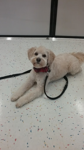 Pet Supply Store «Petco Animal Supplies», reviews and photos, 8164 Mall Pkwy, Lithonia, GA 30038, USA