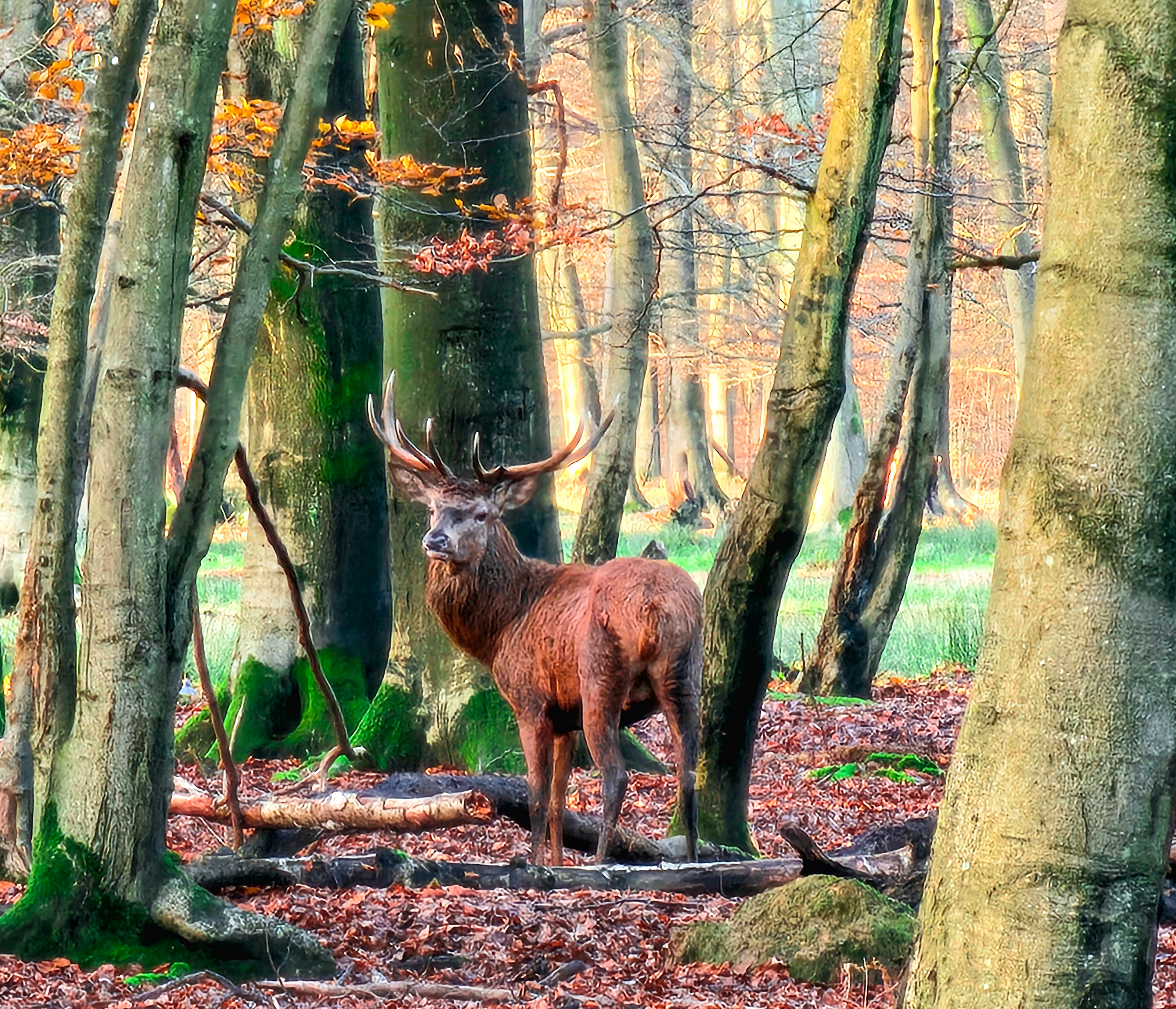 Photo n° 11 de l'avis de Nono.h fait le 09/12/2023 à 09:20