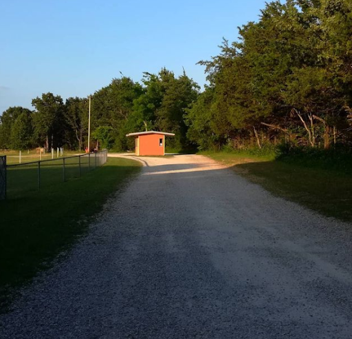 Drive-in Movie Theater «Stone Drive-In Theatre», reviews and photos, 808 Theatre Ln, Mountain View, AR 72560, USA