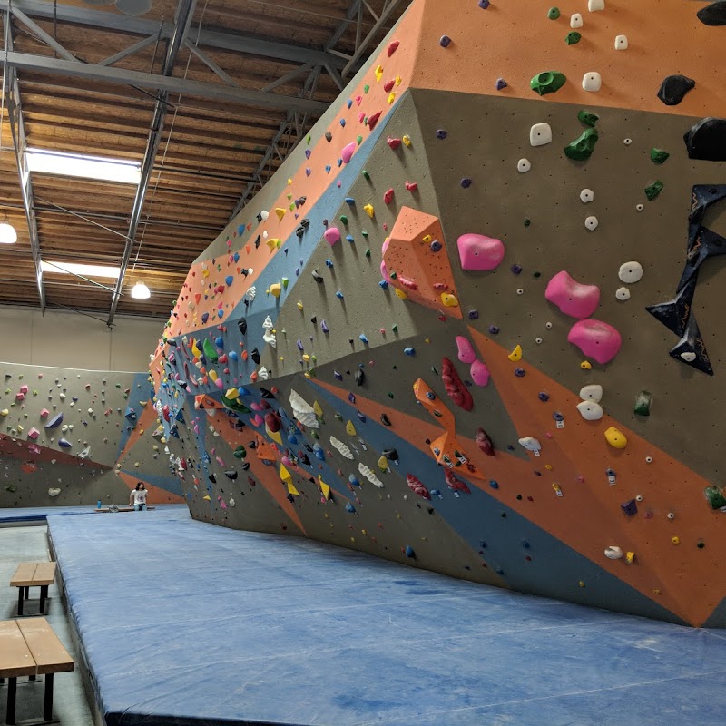 Top Out Climbing Gym