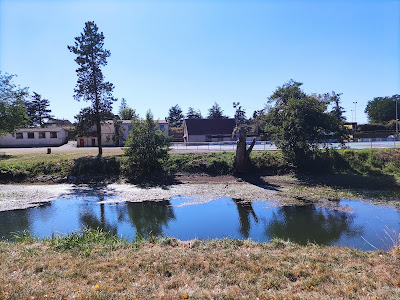 Le Moulin De Salles à Châteauroux