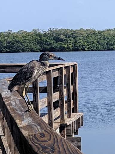 Nature Preserve «Perico Preserve», reviews and photos, 11700 Manatee Ave W, Bradenton, FL 34209, USA
