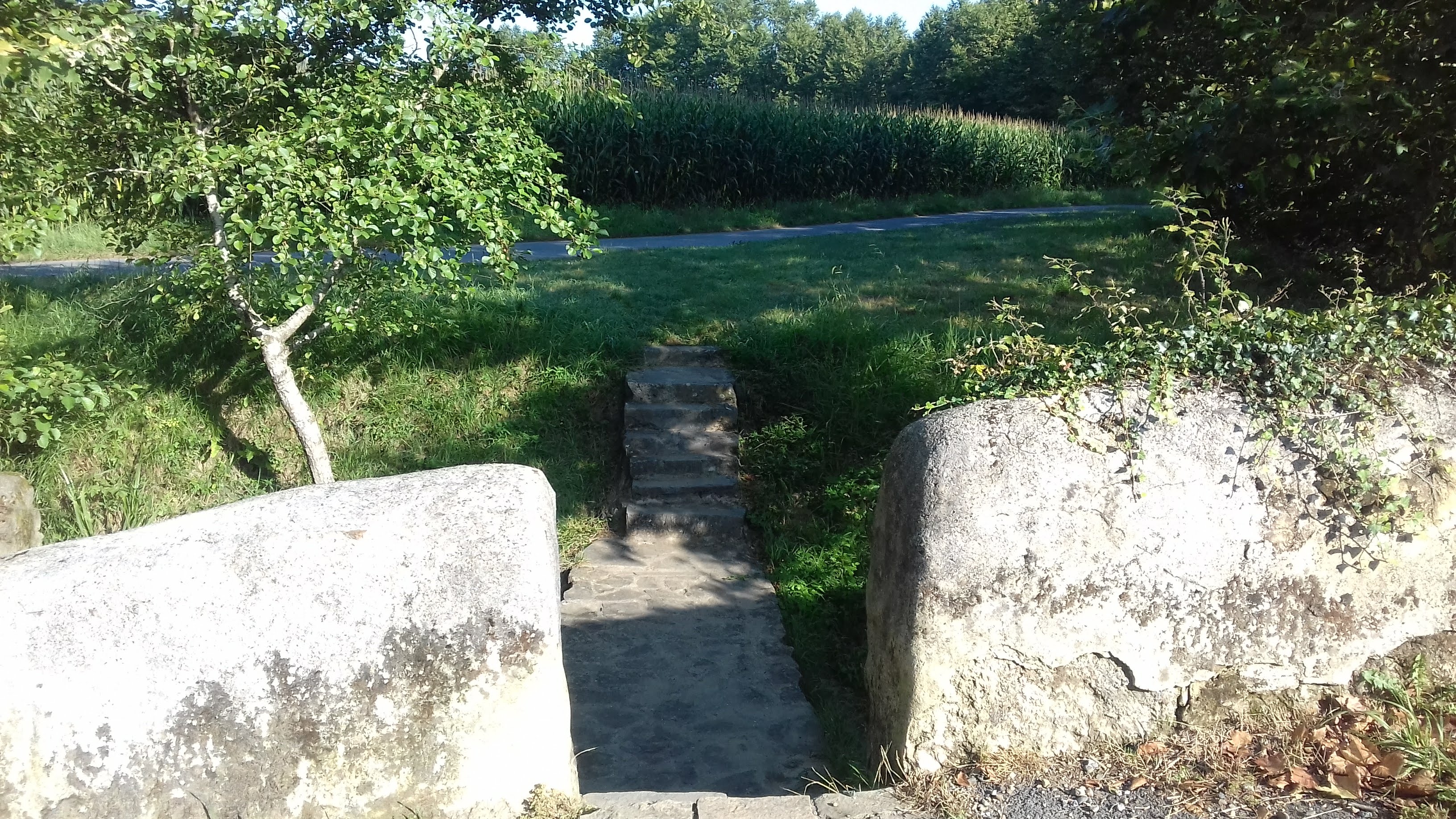 Photo n° 4 de l'avis de Breizh.b fait le 03/08/2019 à 10:30