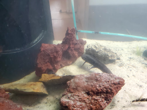 Pet Supply Store «Coastline Pet Supply», reviews and photos, 3530 Northgate Dr, Myrtle Beach, SC 29588, USA