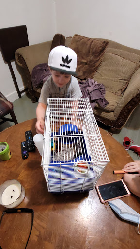 Pet Supply Store «Pet Supplies Plus», reviews and photos, 2410 Augusta Rd, West Columbia, SC 29169, USA