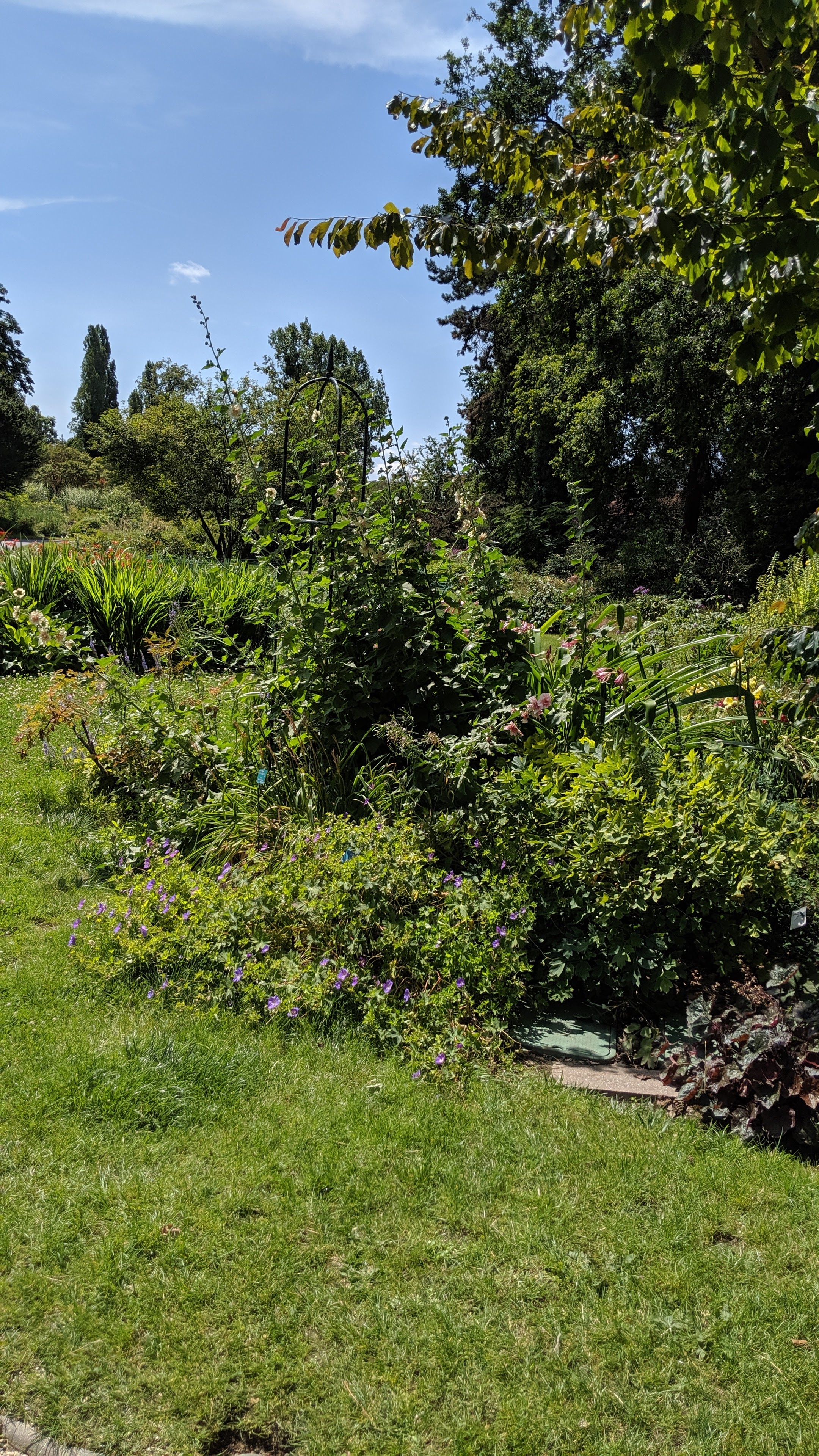 Photo n° 11 de l'avis de Jose.u fait le 28/07/2019 à 17:10