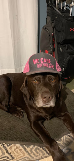 HVAC Contractor «We Care Heating & Air Conditioning», reviews and photos