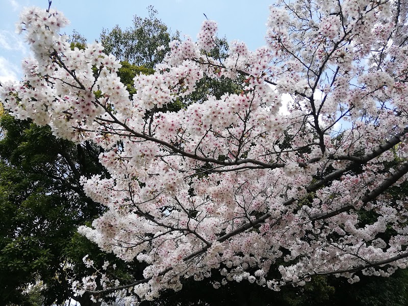 三国本町公園