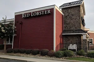 Red Lobster image