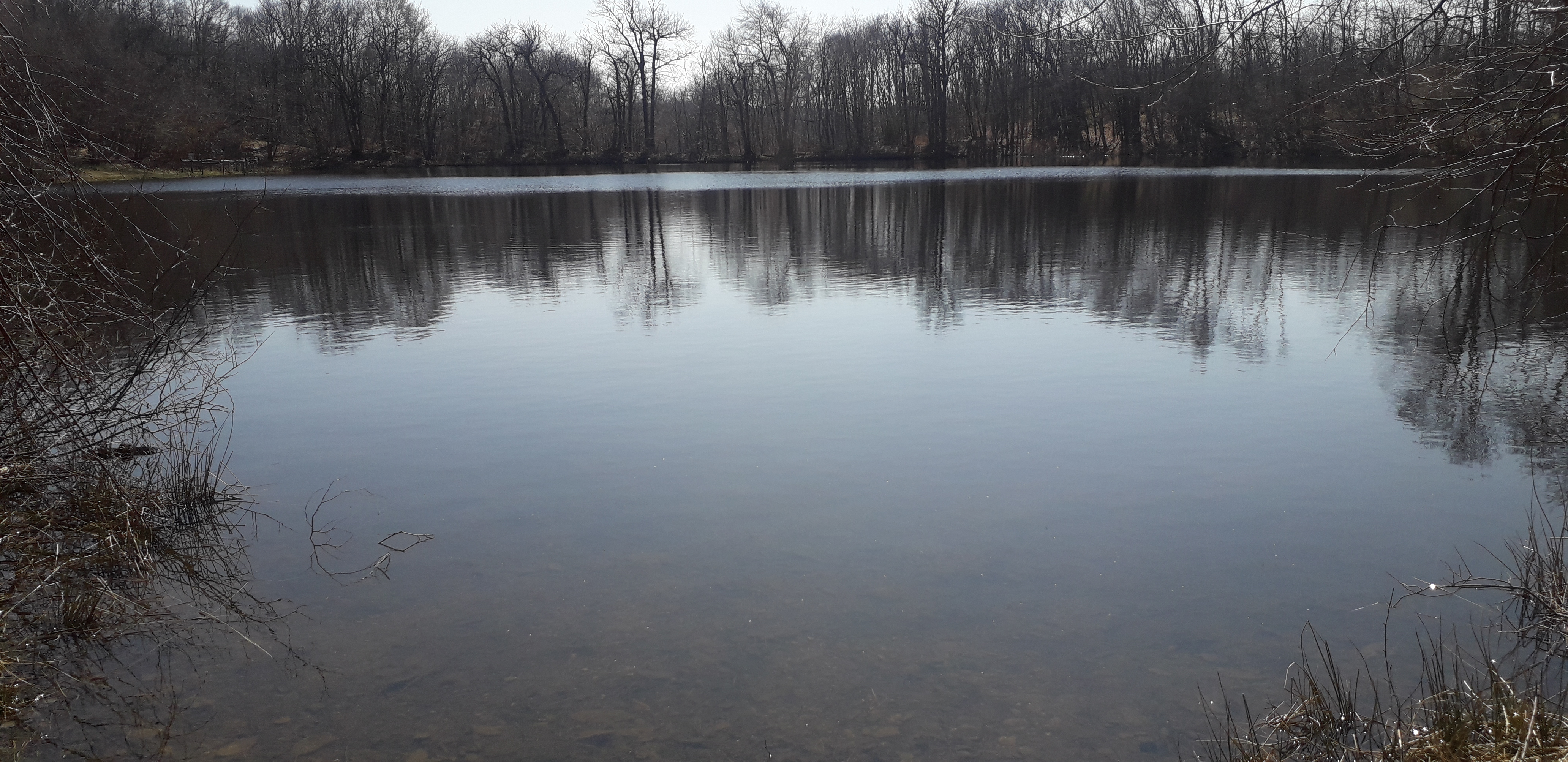 Photo n° 2 de l'avis de delphine.o fait le 04/04/2019 à 11:56