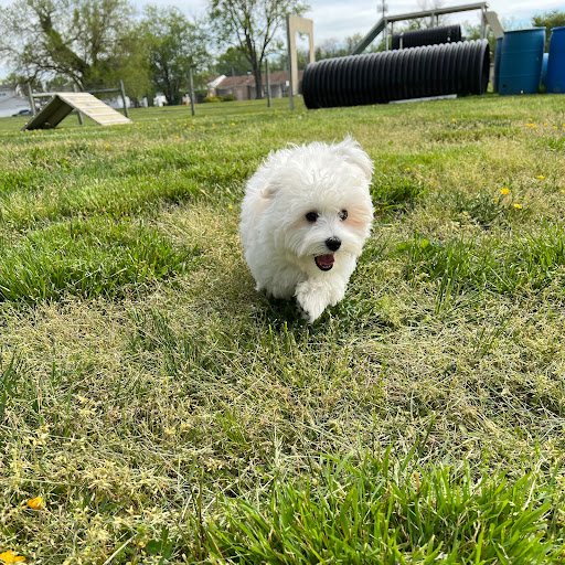 Pet Store «PV Pets», reviews and photos, 233 S Broadway, Pennsville, NJ 08070, USA