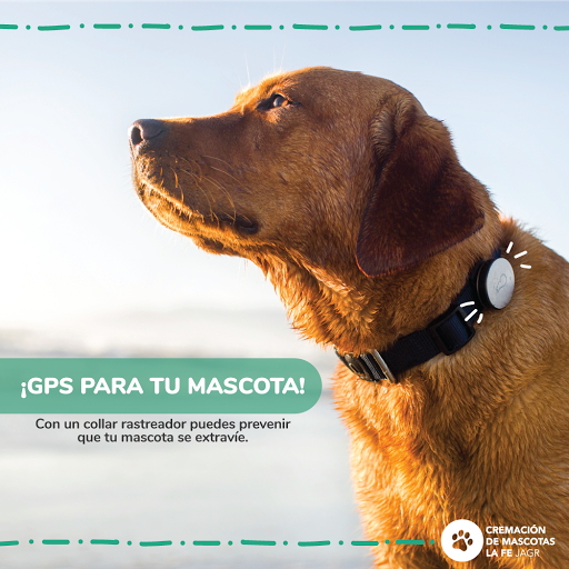 La Fe - Crematorio de Mascotas en La Fe