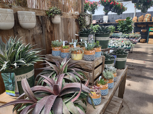 Greenhouse «Rose Floral & Greenhouse», reviews and photos, 14298 60th St N, Stillwater, MN 55082, USA