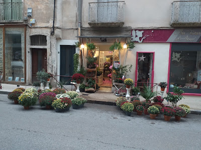 aux fleurs de mercure à Le Vigan