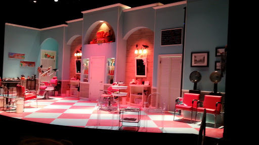 Performing Arts Theater «Meadow Brook Theatre», reviews and photos, 378 Meadow Brook Rd, Rochester, MI 48309, USA