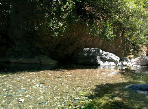 Río Alaminos