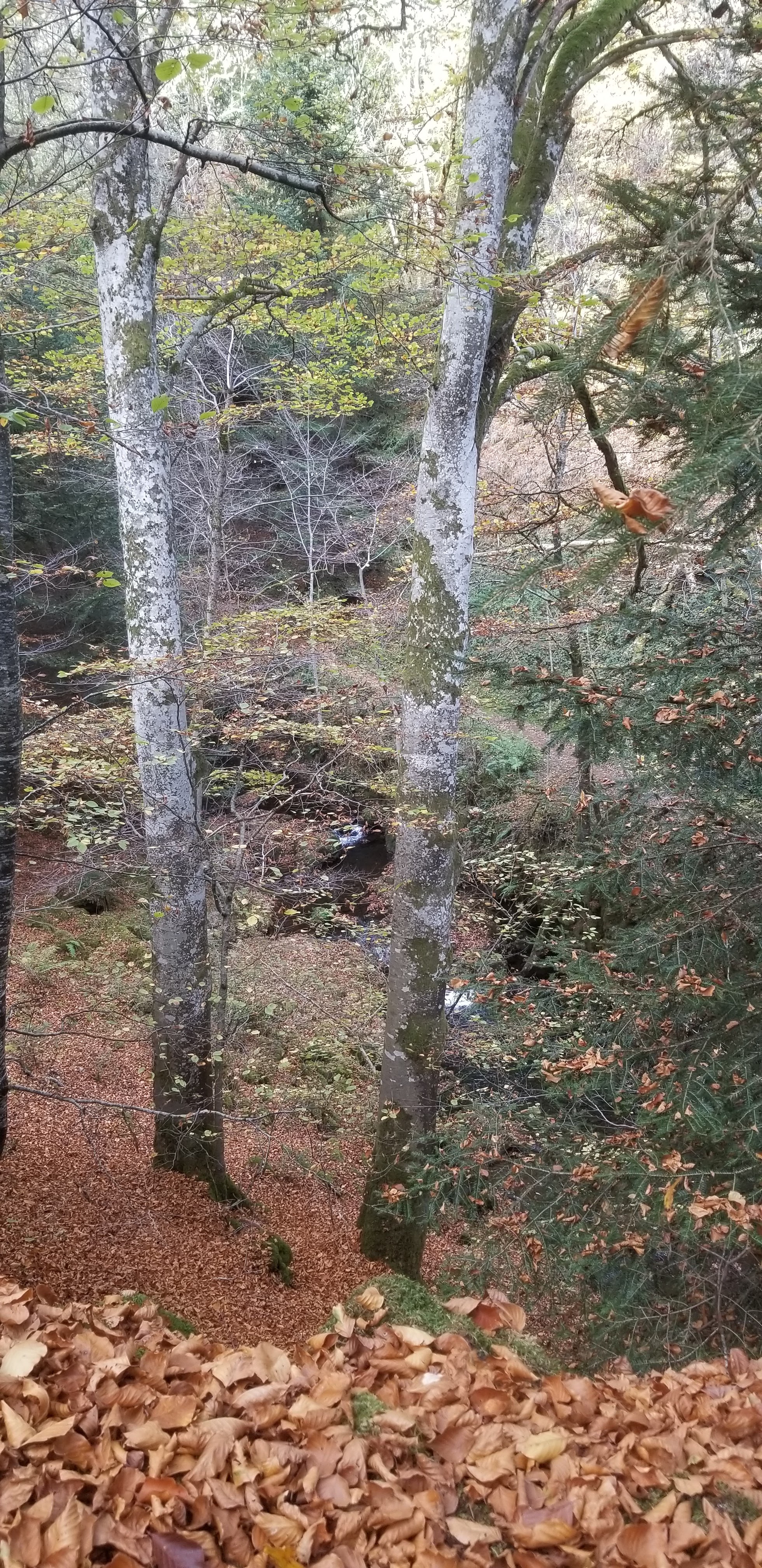 Photo n° 4 de l'avis de Céline.O fait le 31/10/2022 à 19:54