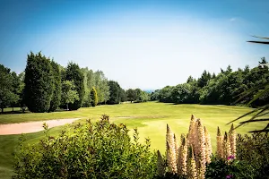 Golf At Telford Hotel image