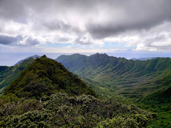 Kaʻala Hiking Trail