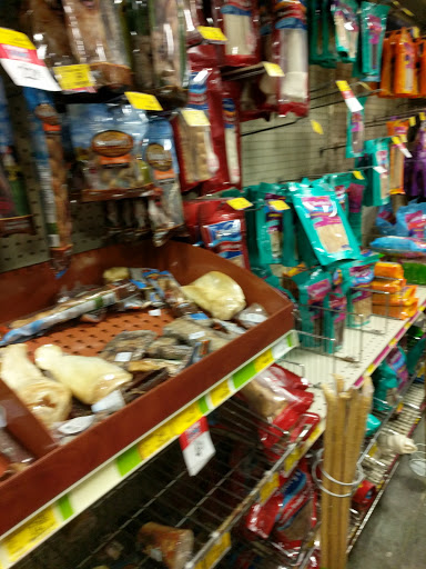 Pet Supply Store «PetSmart», reviews and photos, 2920 Little Rd, Trinity, FL 34655, USA