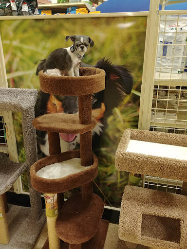 Pet Supply Store «PetSmart», reviews and photos, 367 Mt Hope Ave, Rockaway, NJ 07866, USA