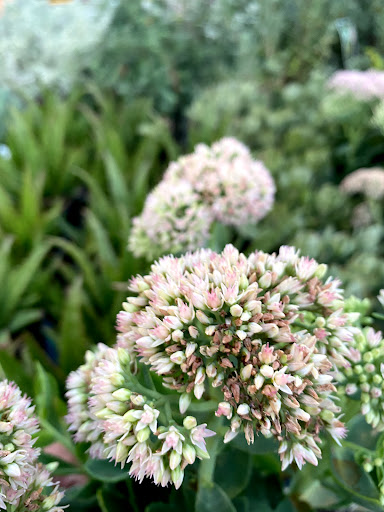 Home Improvement Store «The Home Depot», reviews and photos, 1305 S Lone Hill Ave, Glendora, CA 91740, USA