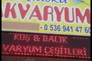 Konya sancak kosova mah alaska pet shop image