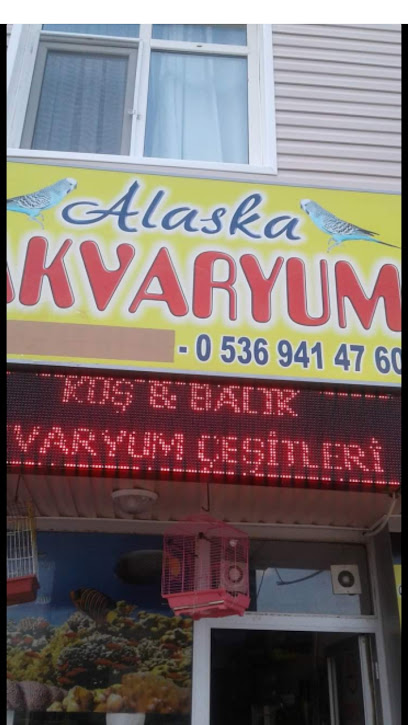 Konya sancak kosova mah alaska akvaryum pet shop