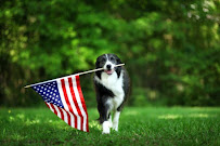 Turf and Tundra Property Solutions - Photo 4 - Car repair in Menasha, WI, Appleton