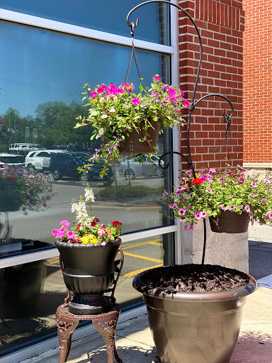 Hair Salon «Michael the Salon», reviews and photos, 8520 Transit Rd, Williamsville, NY 14221, USA