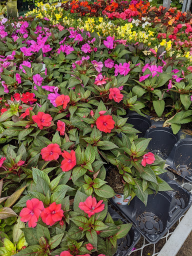 Home Improvement Store «The Home Depot», reviews and photos, 750 US-130, Robbinsville, NJ 08691, USA