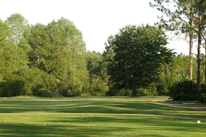 Pine Forest Country Club image