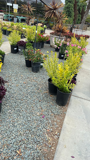 Terra Bella Nursery, Inc. image