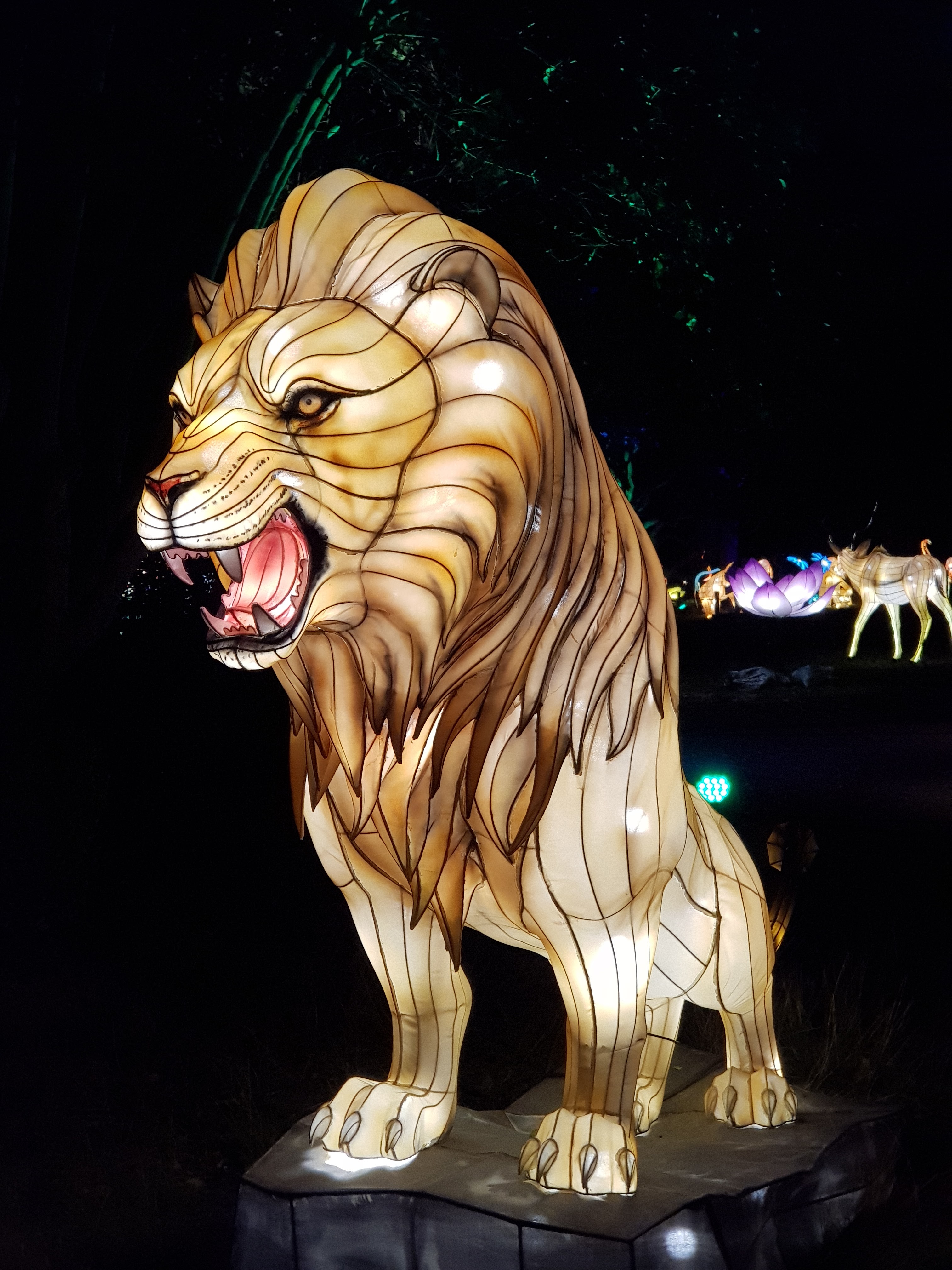 Photo n° 10 de l'avis de AlexBebop. fait le 30/12/2019 à 10:04