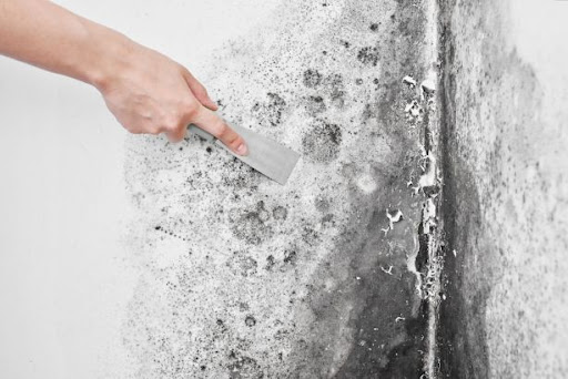 Prism Texas | Mold Removal McKinney