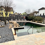 Photo n°3 de l'avis de Thomas.r fait le 28/02/2024 à 20:42 sur le  zumOXN Hotel & Restaurant à Laufen