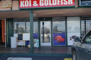 King Koi & Goldfish image