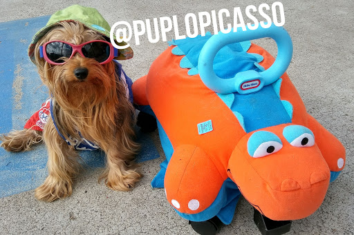 Pet Supply Store «PetSmart», reviews and photos, 3610 Rosecrans St, San Diego, CA 92110, USA