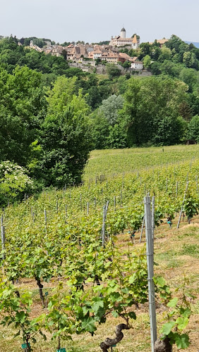 La Cave du Vallon à Lavigny