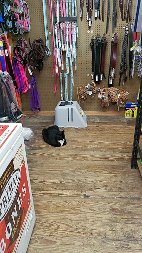 Pet Supply Store «Park Feed Store & Pet Supply», reviews and photos, 5775 Park Blvd N, Pinellas Park, FL 33781, USA
