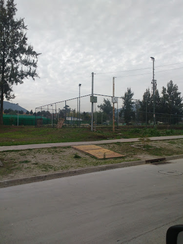 Opiniones de Multicancha en Puente Alto - Campo de fútbol