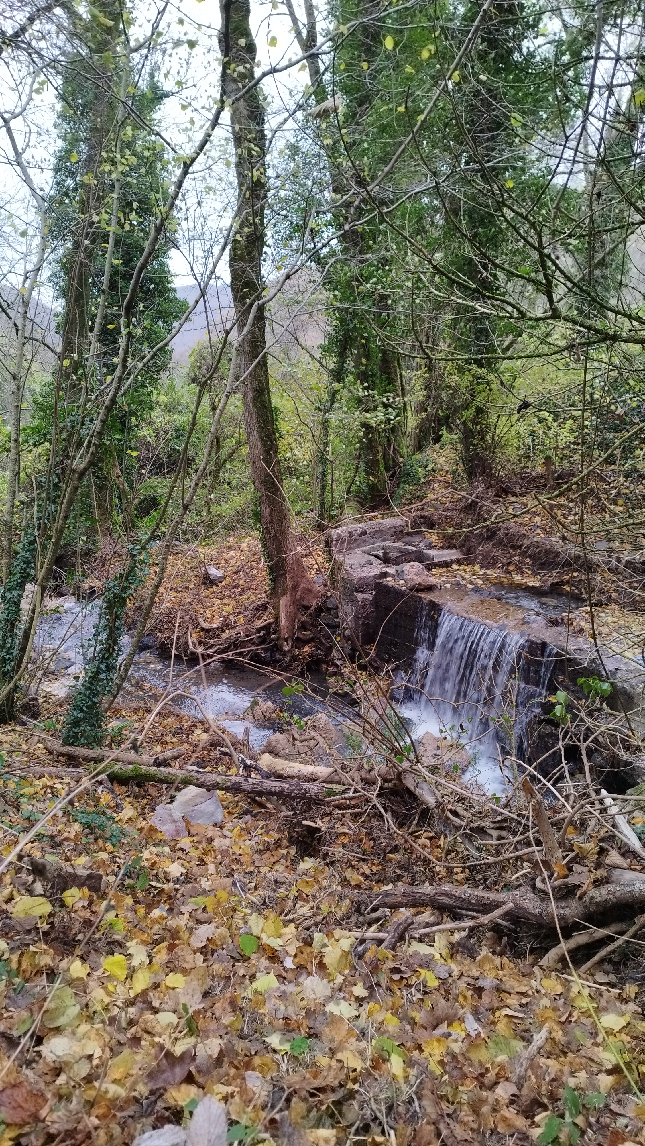 Photo n° 11 de l'avis de Christophe.� fait le 24/11/2023 à 16:09