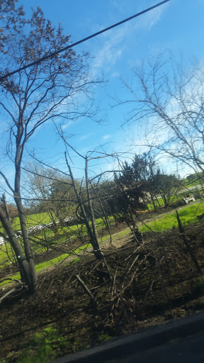 Coffee Shop «Bad Ass Coffee», reviews and photos, 90 Mark West Springs Rd # 100, Santa Rosa, CA 95403, USA