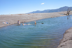Foto di Lake Ferry Beach con molto pulita livello di pulizia