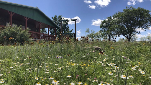 Wildcat Bluff Nature Center