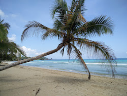 Photo de Polo Beach - endroit populaire parmi les connaisseurs de la détente