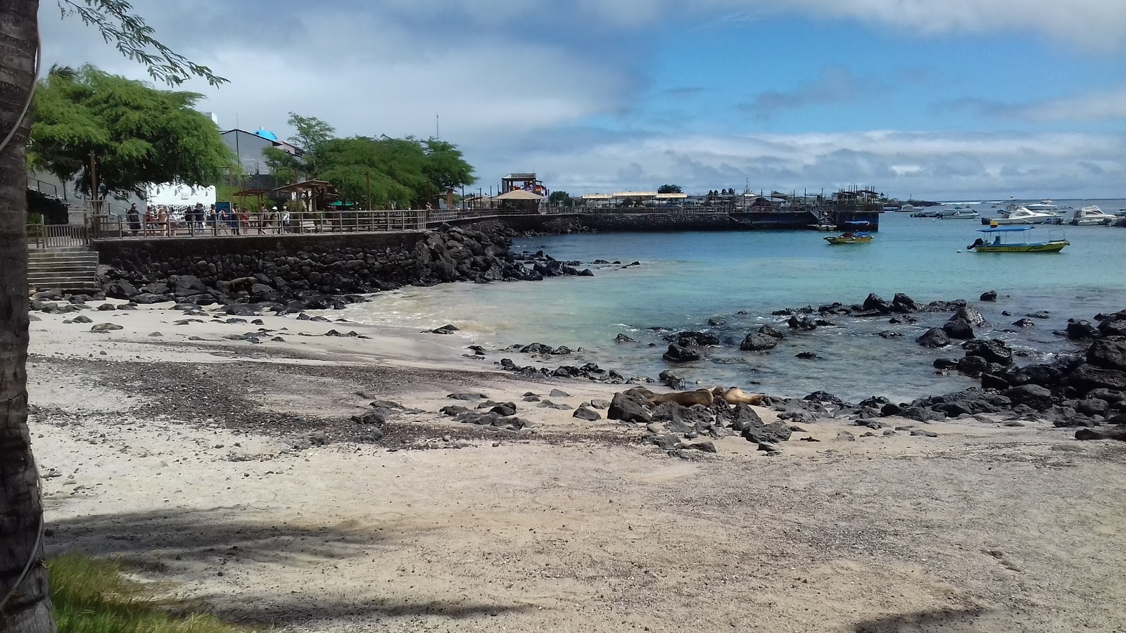 Fotografija Playa de Oro z svetel pesek in kamni površino
