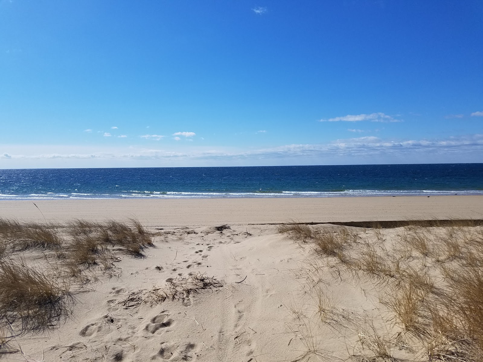 Long Point beach的照片 带有碧绿色纯水表面