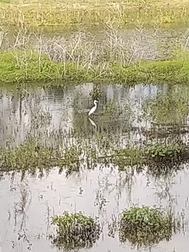 Park «River Legacy Parks East», reviews and photos, 1601 NE Green Oaks Blvd, Arlington, TX 76006, USA