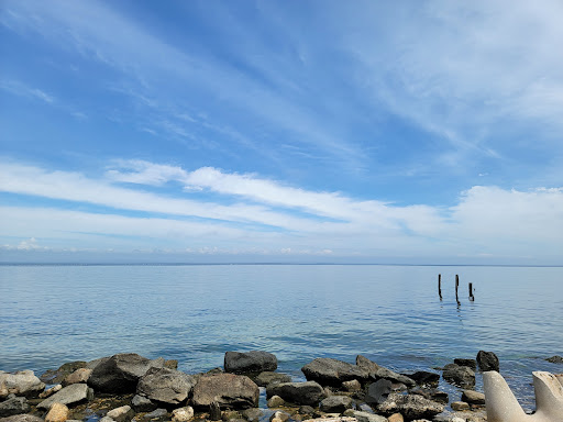 Tourist Attraction «Sands Point Preserve», reviews and photos, 127 Middle Neck Rd, Sands Point, NY 11050, USA